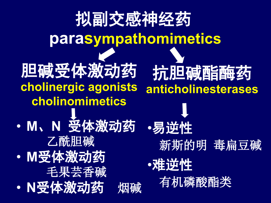 拟副交神经药_第2页