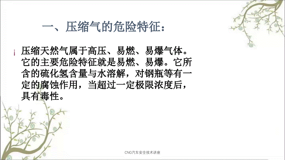 CNG汽车安全技术讲座PPT课件_第3页