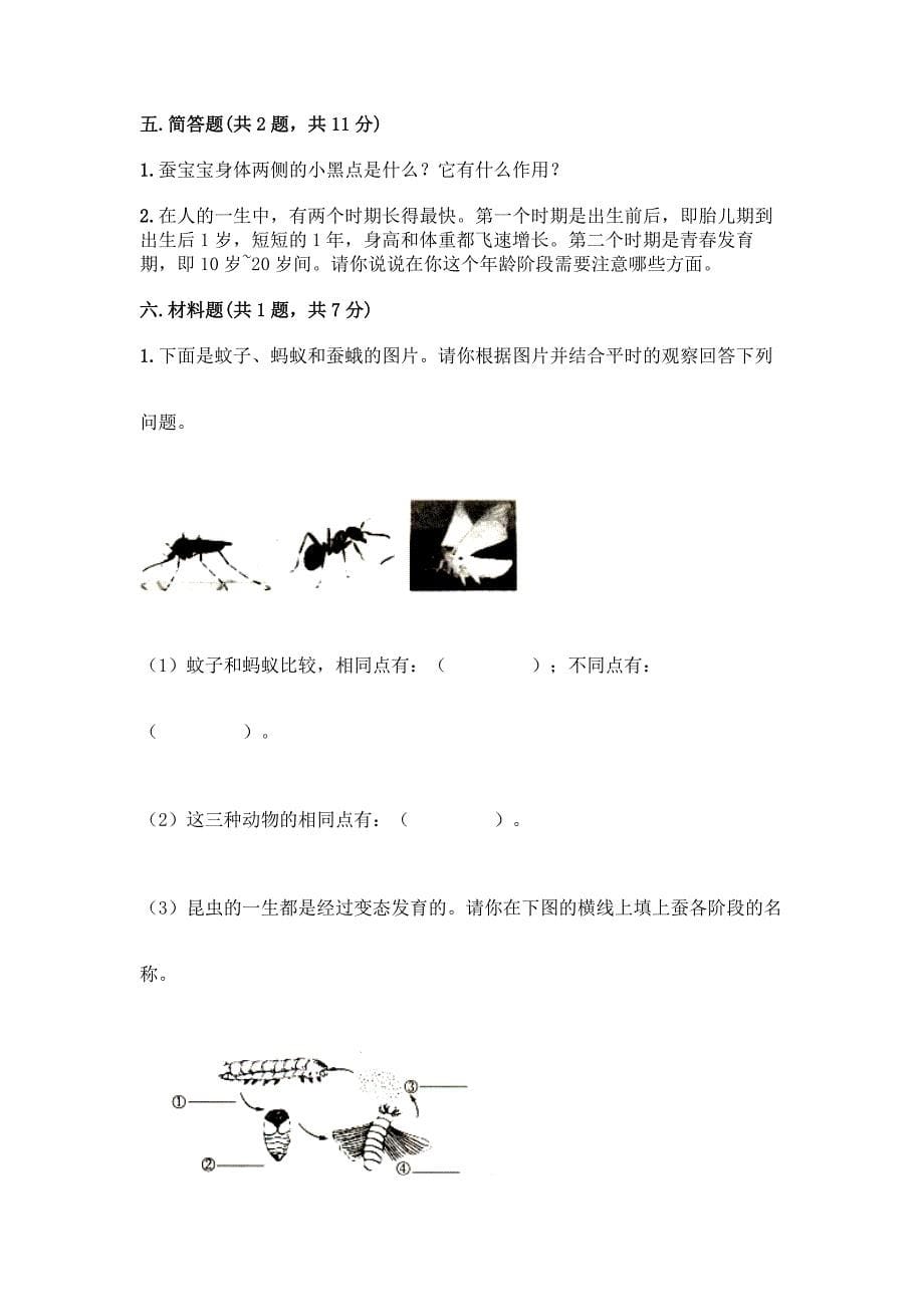 教科版科学三年级下册第二单元《动物的一生》测试卷及答案免费.docx_第5页