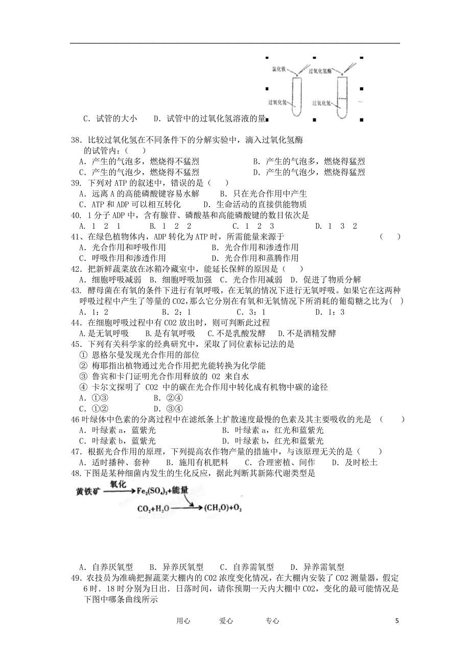 甘肃省永昌县高二生物上学期期中考试试题新人教版_第5页