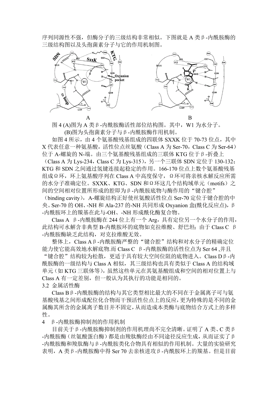 β-内酰胺酶抑制剂研究进展.doc_第4页