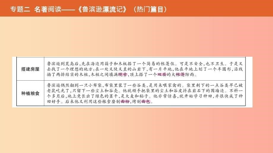 （安徽专用）2019年中考语文总复习 第二部分 语文积累与综合运用 专题二 名著阅读《鲁滨逊漂流记》课件.ppt_第5页