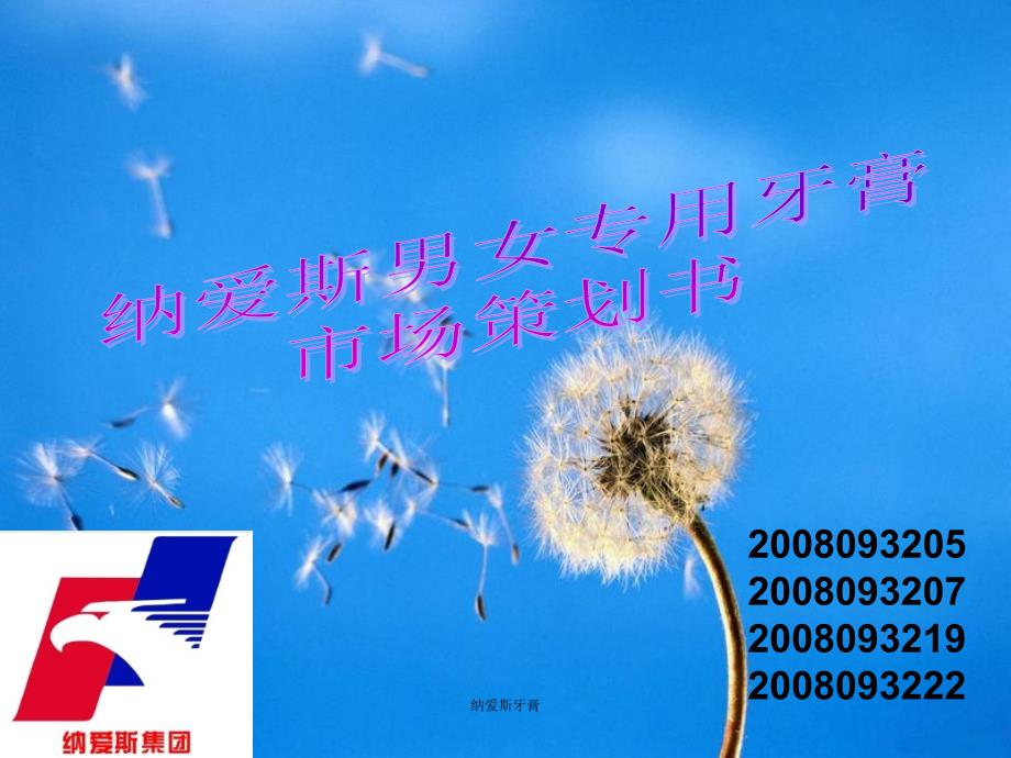 纳爱斯牙膏课件_第1页