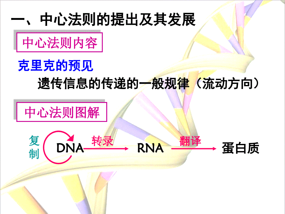 高中生物基因对性状的控制课件_第4页