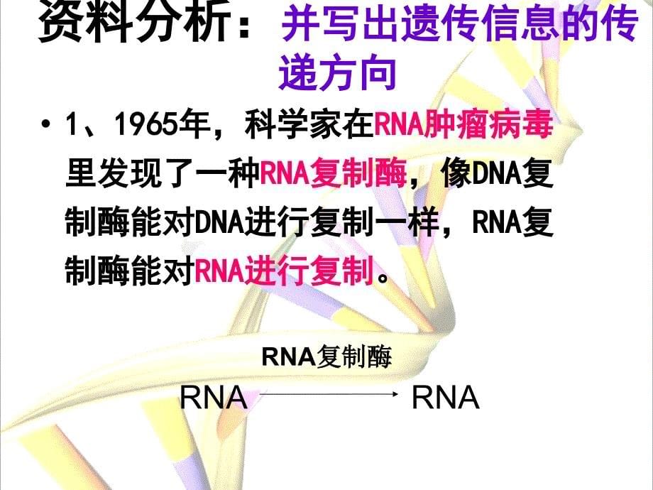 高中生物基因对性状的控制课件_第5页