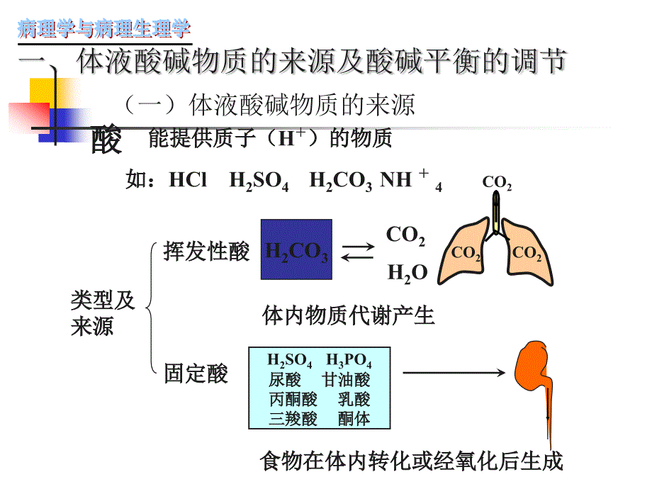 酸碱平衡ppt课件_第3页