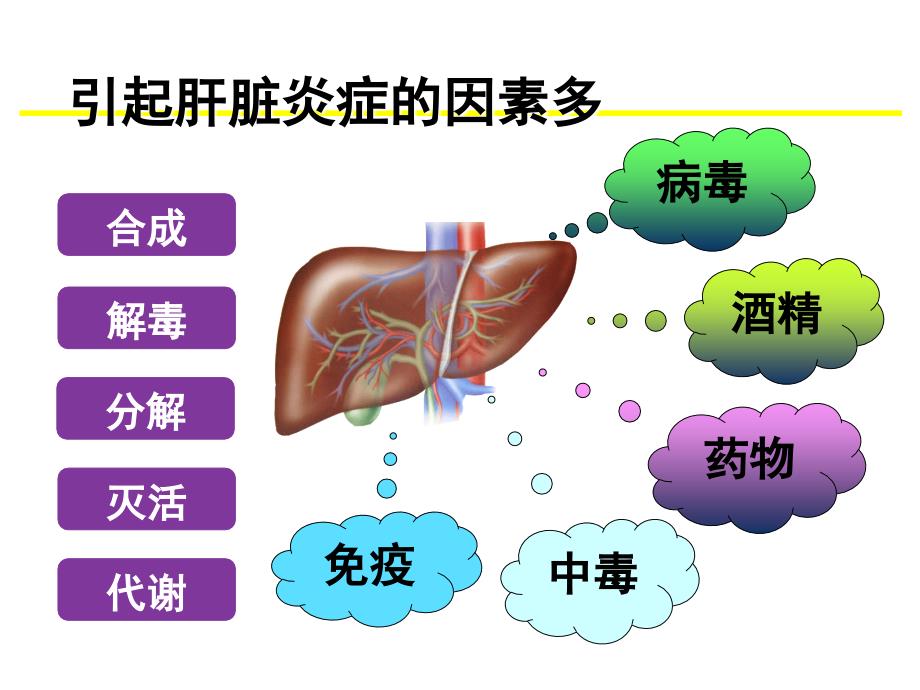 丙肝肝硬化的分级抗病毒治疗策略_第2页