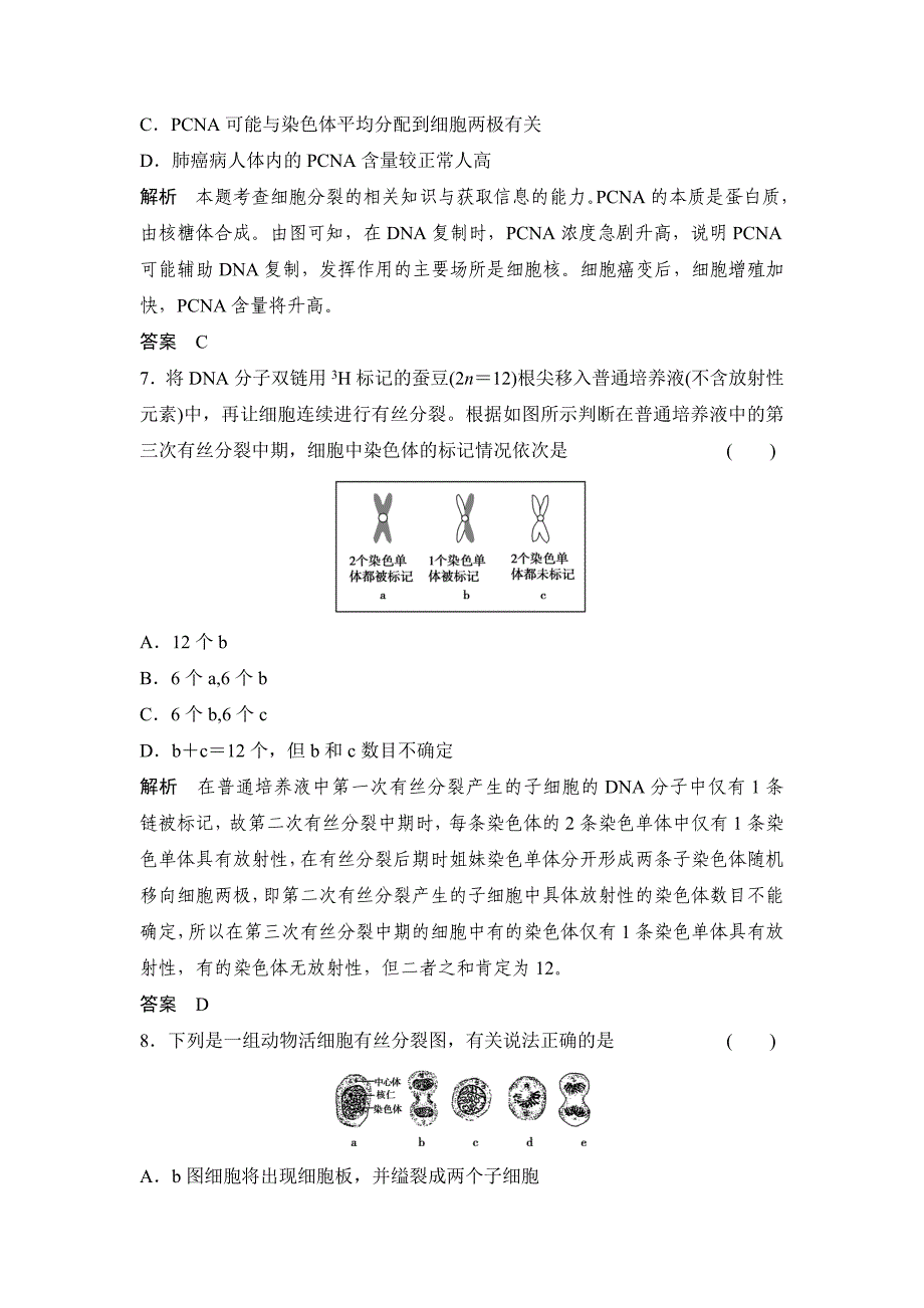 1-4-1细胞的增殖.doc_第3页