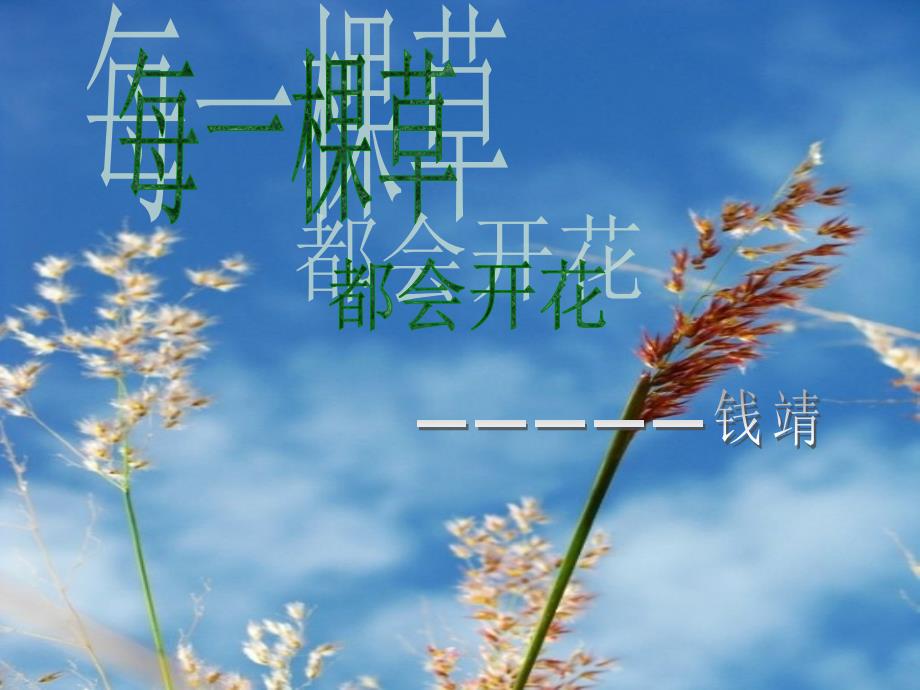 每一棵草都会开花悦读.ppt_第1页