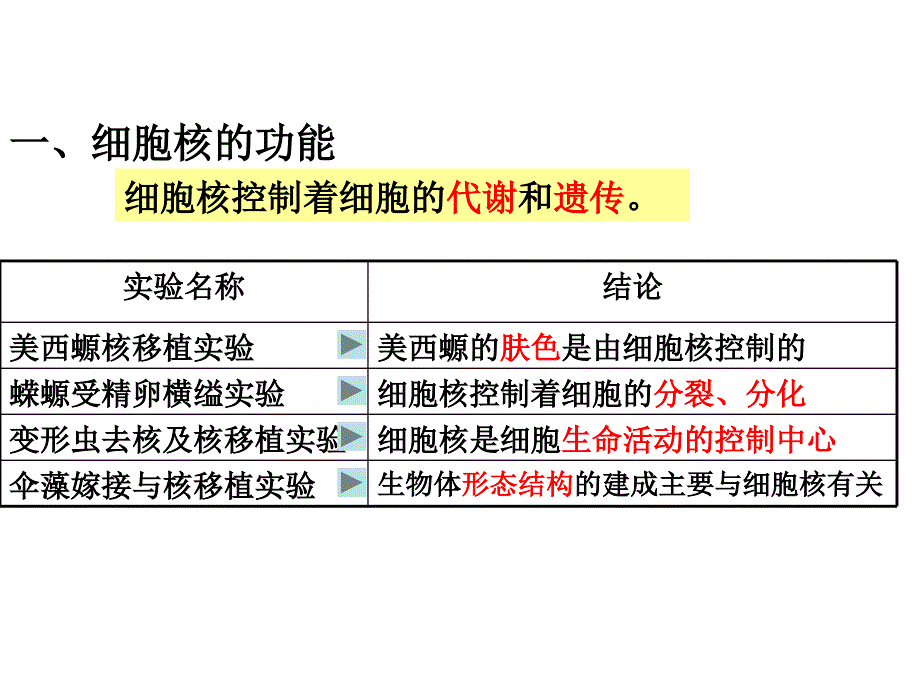 人教版高中生物课件细胞核－系统的控制中心_第2页