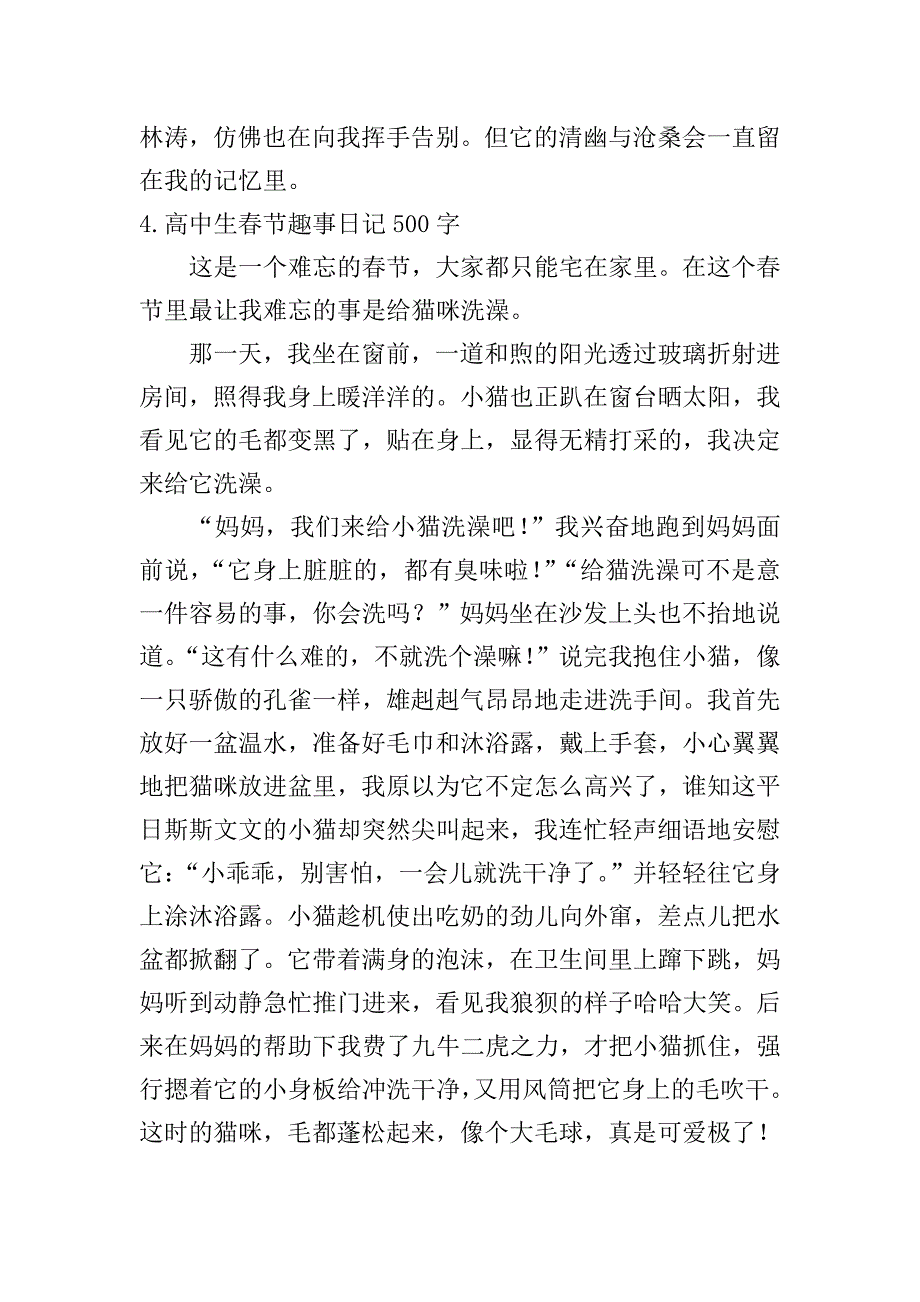 高中生春节趣事日记500字10篇.doc_第4页