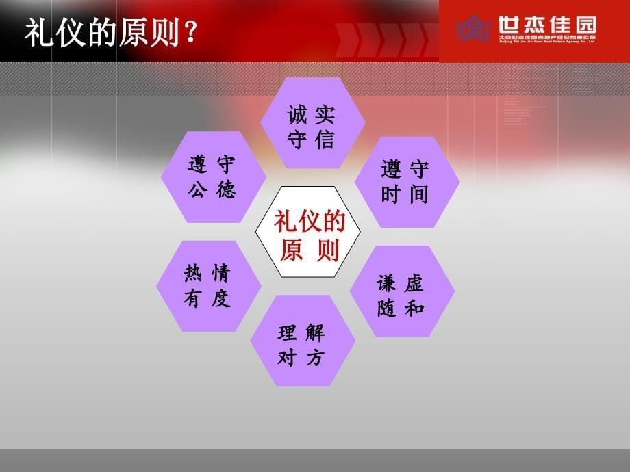 职业礼仪培训_第5页