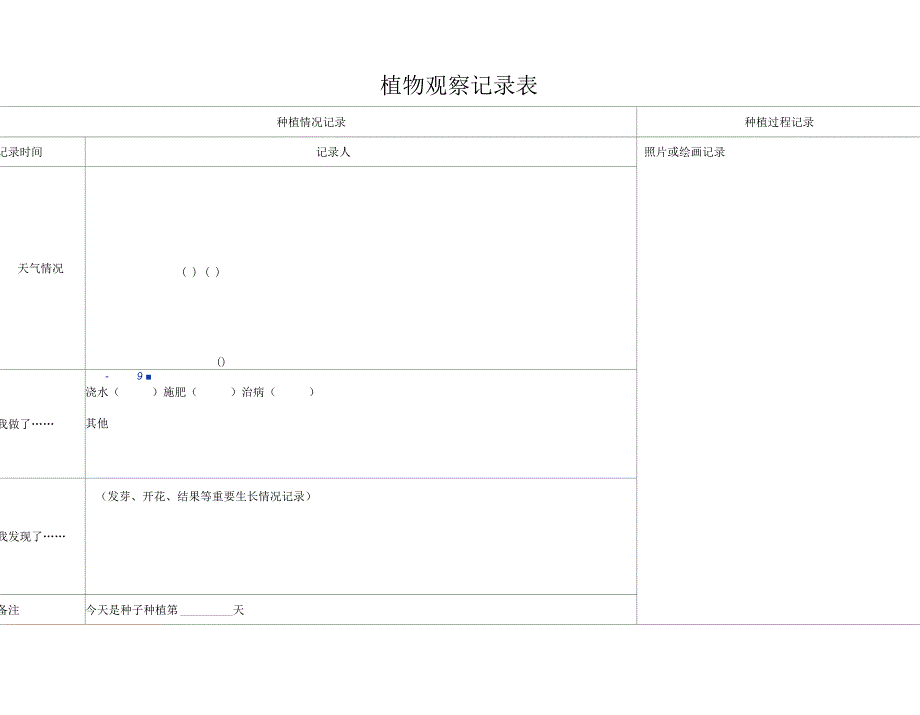 植物观察记录表3_第1页