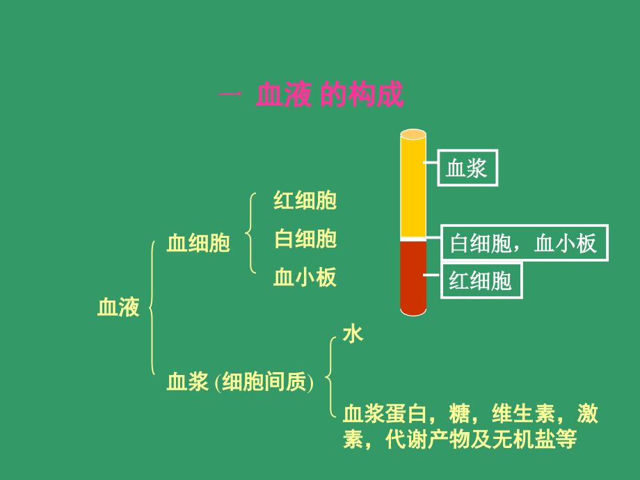 血液Blood精品PPT课件_第3页