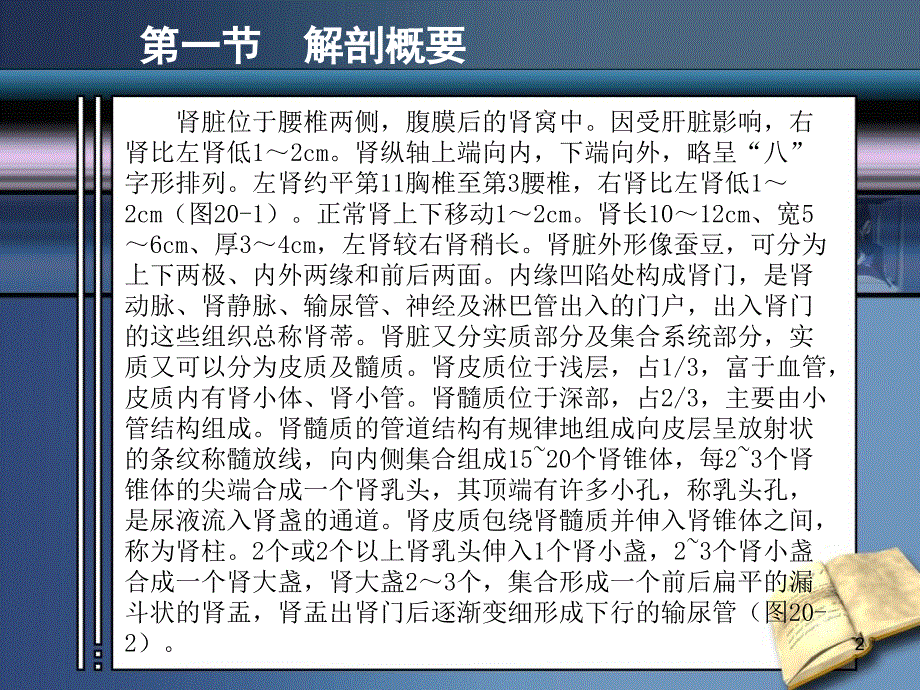 超声医学第二十_第2页