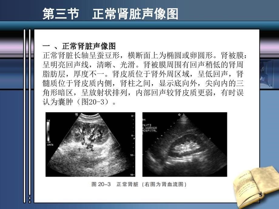 超声医学第二十_第5页