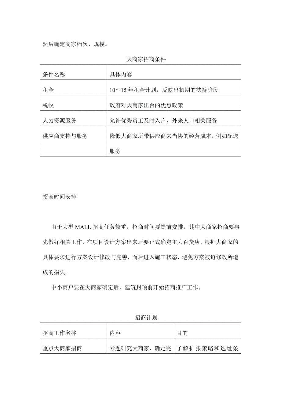 大型mall招商策划及招商计划实施_第5页