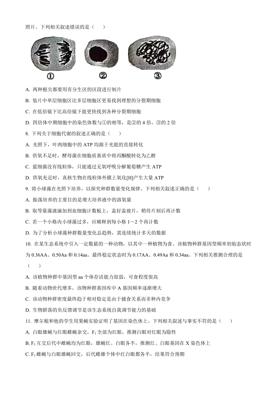 2022年新教材江苏生物高考真题（原卷版）.docx_第2页