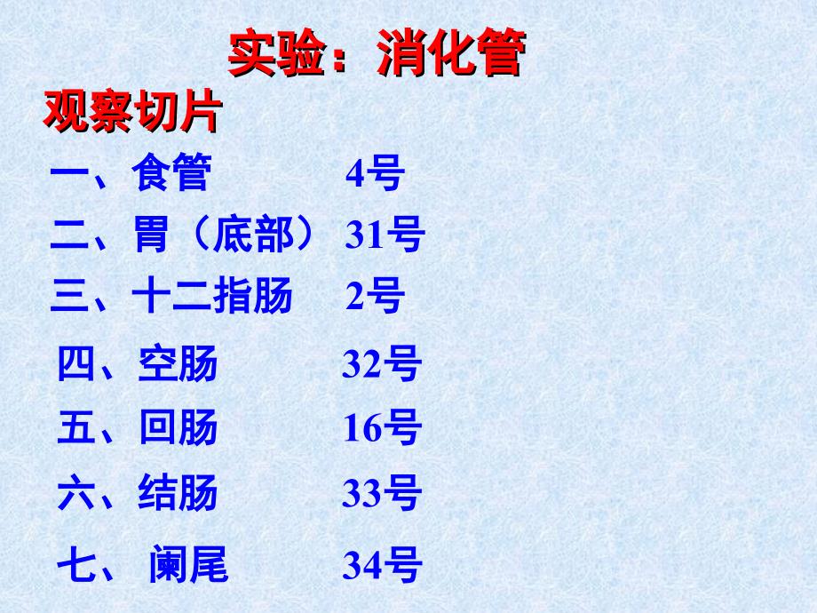 医学实验消化管_第1页