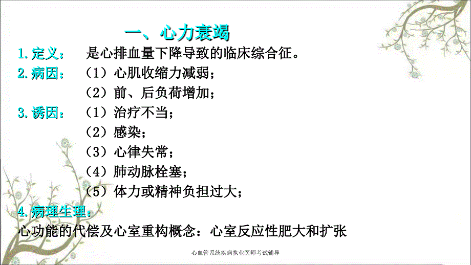 心血管系统疾病执业医师考试辅导_第2页