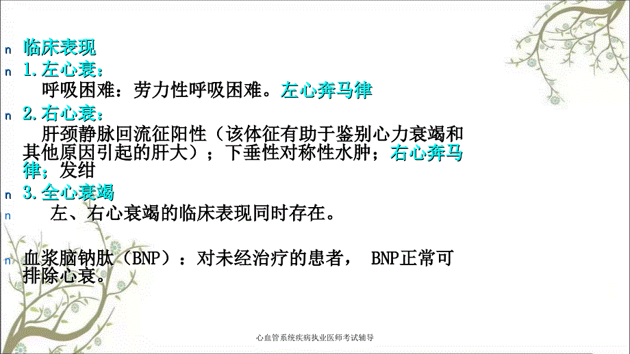 心血管系统疾病执业医师考试辅导_第3页