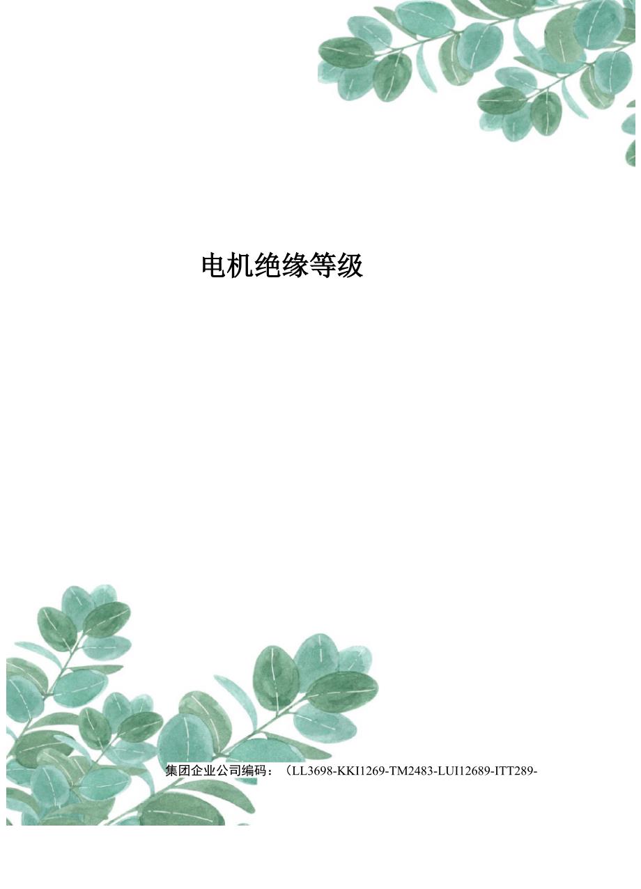 电机绝缘等级_第1页
