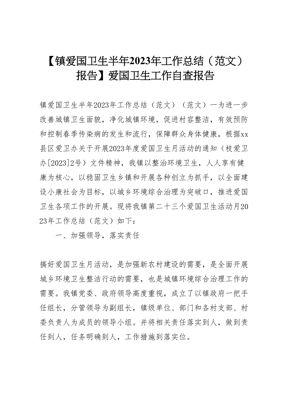 2023年镇爱国卫生半年工作总结报告爱国卫生工作自查报告（范文）.doc_第1页