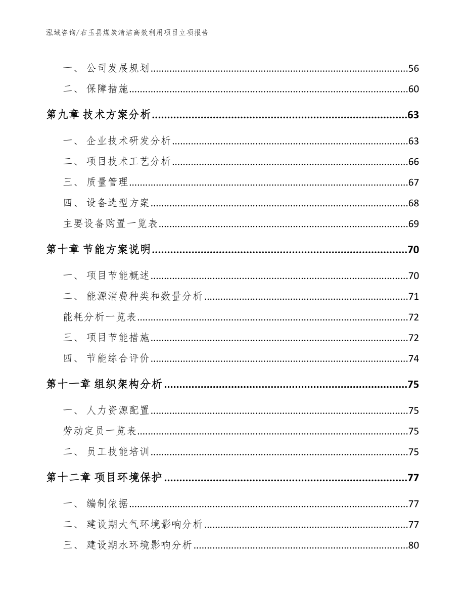 右玉县煤炭清洁高效利用项目立项报告（模板范本）_第4页