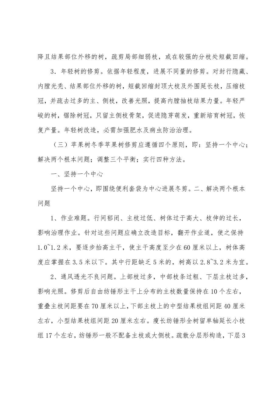 实习报告范文.docx_第5页