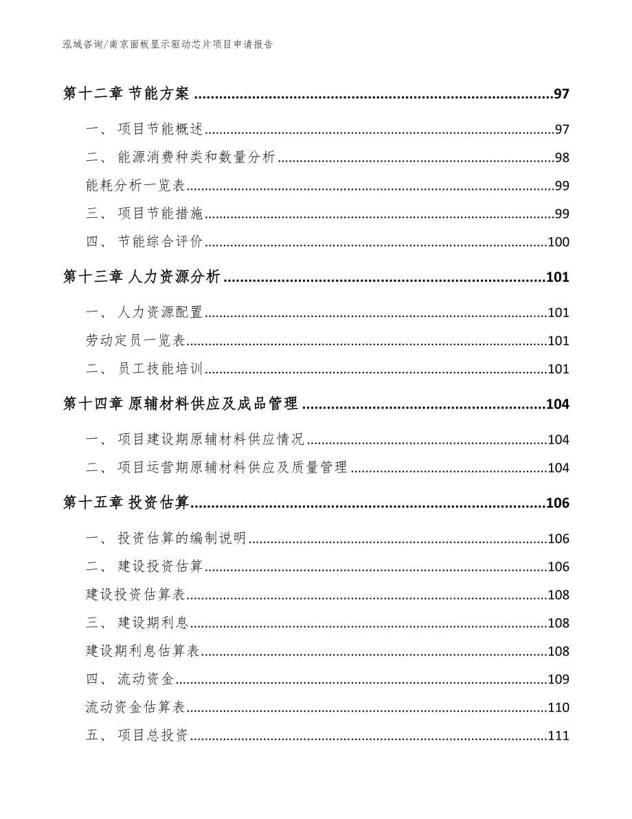 南京面板显示驱动芯片项目申请报告_第5页