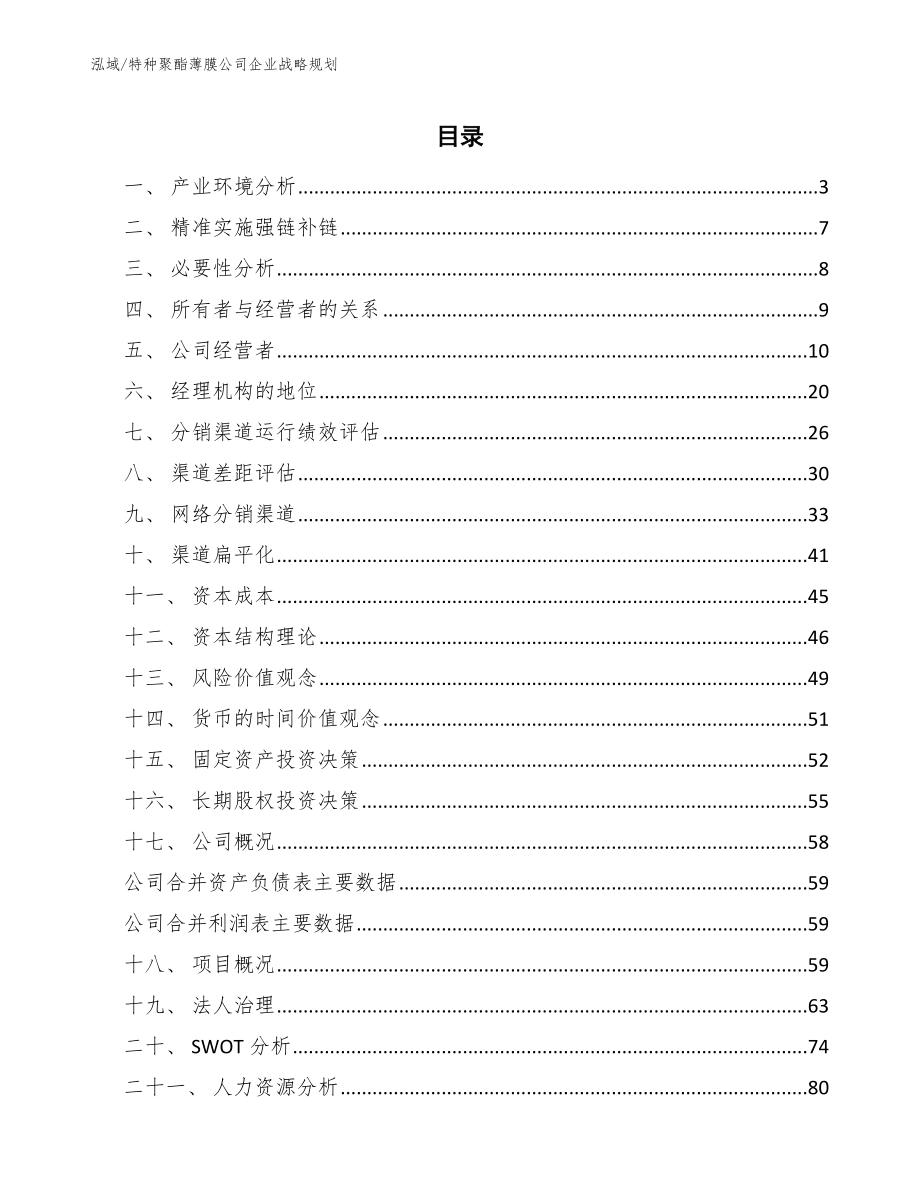 特种聚酯薄膜公司企业战略规划_参考_第2页