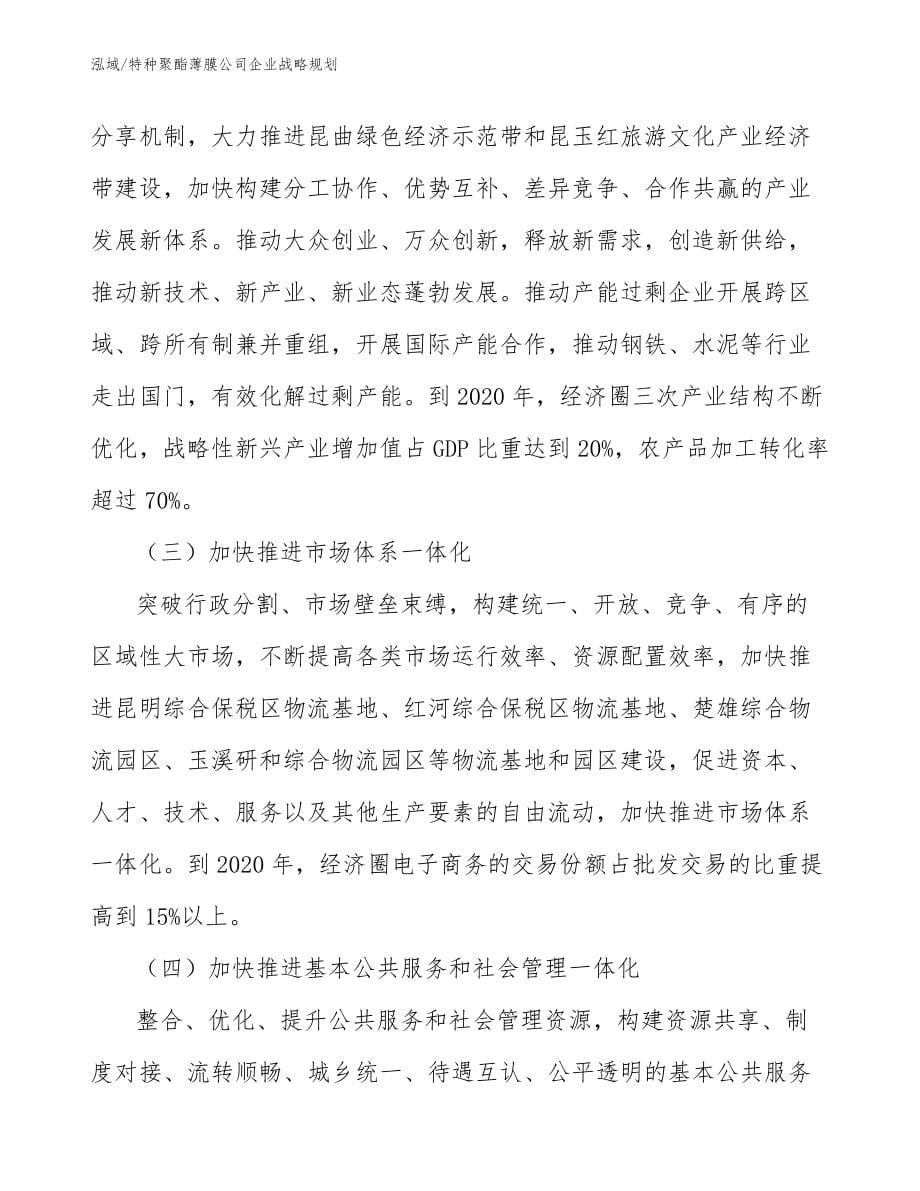 特种聚酯薄膜公司企业战略规划_参考_第5页