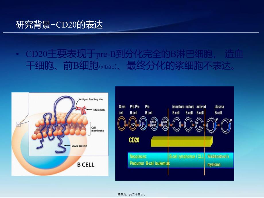 gela98.5文献解读-新乡市中心医院课件_第4页