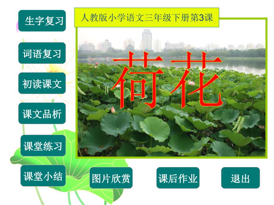 《荷花》多媒体课件黄海琼.ppt_第2页