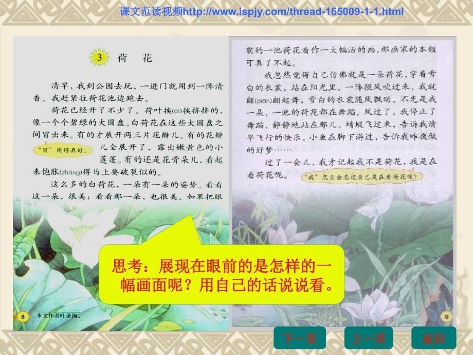 《荷花》多媒体课件黄海琼.ppt_第5页