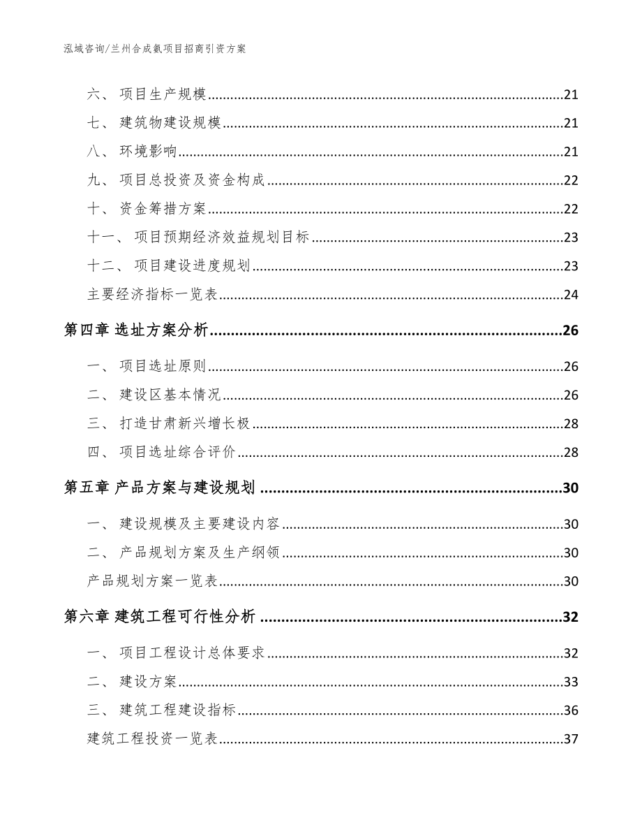 兰州合成氨项目招商引资方案_模板范本_第3页