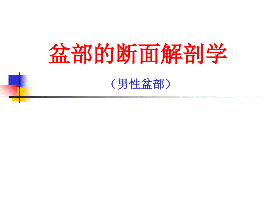 男性盆部断面解剖学_第1页