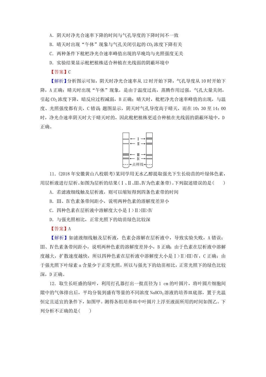 2022高考生物大一轮复习第3单元细胞的能量供应和利用第3讲能量之源--光与光合作用课后提能演练新人教版必修1_第5页