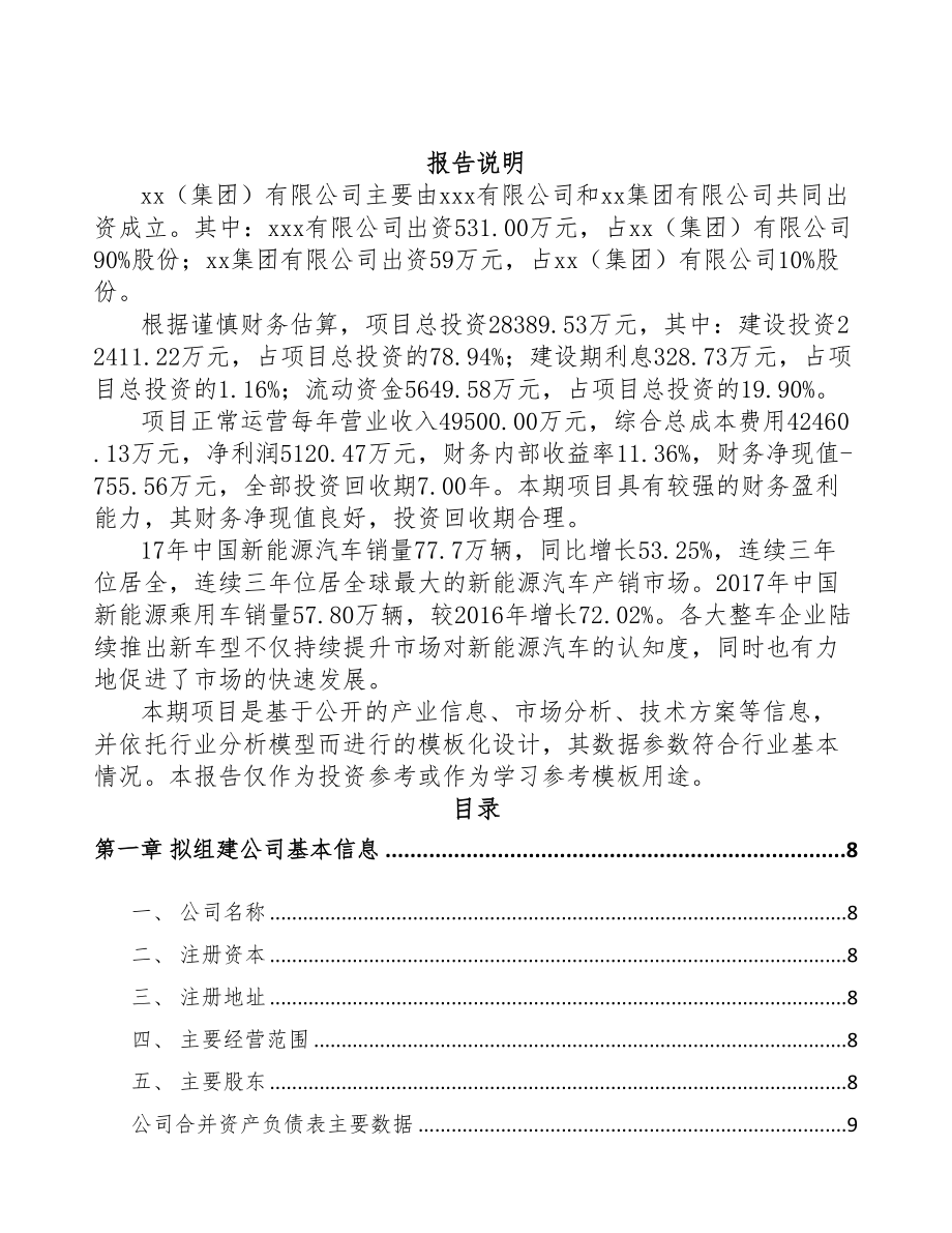 某关于成立锂离子电池公司可行性研究报告(DOC 75页)_第2页