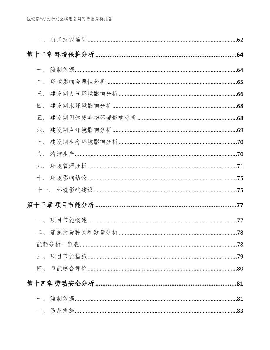 关于成立模组公司可行性分析报告（模板）_第5页