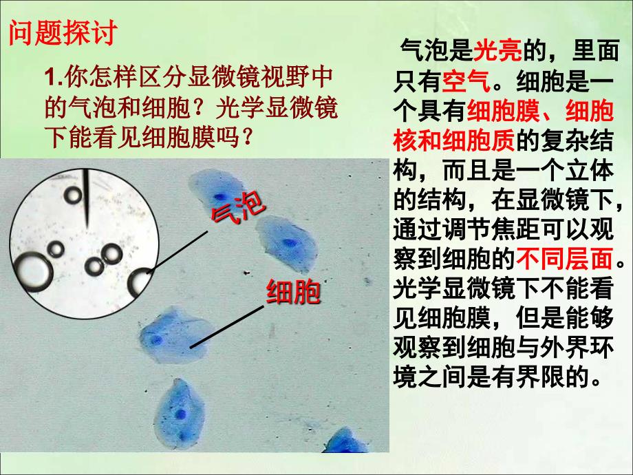 3.1细胞膜—系统的边界课件林红[精选文档]_第4页