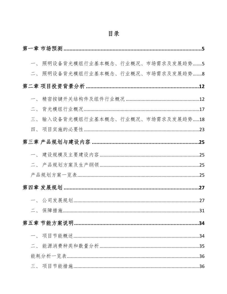 深圳导光结构件项目可行性研究报告_第2页