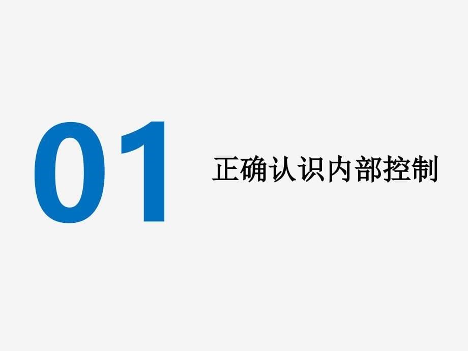 教育系统内部控制的执行手段与措施_第5页