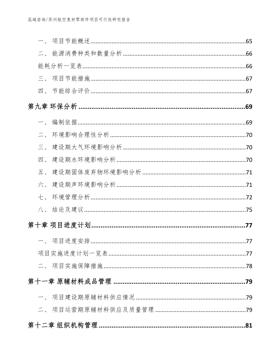 苏州航空复材零部件项目可行性研究报告_第3页