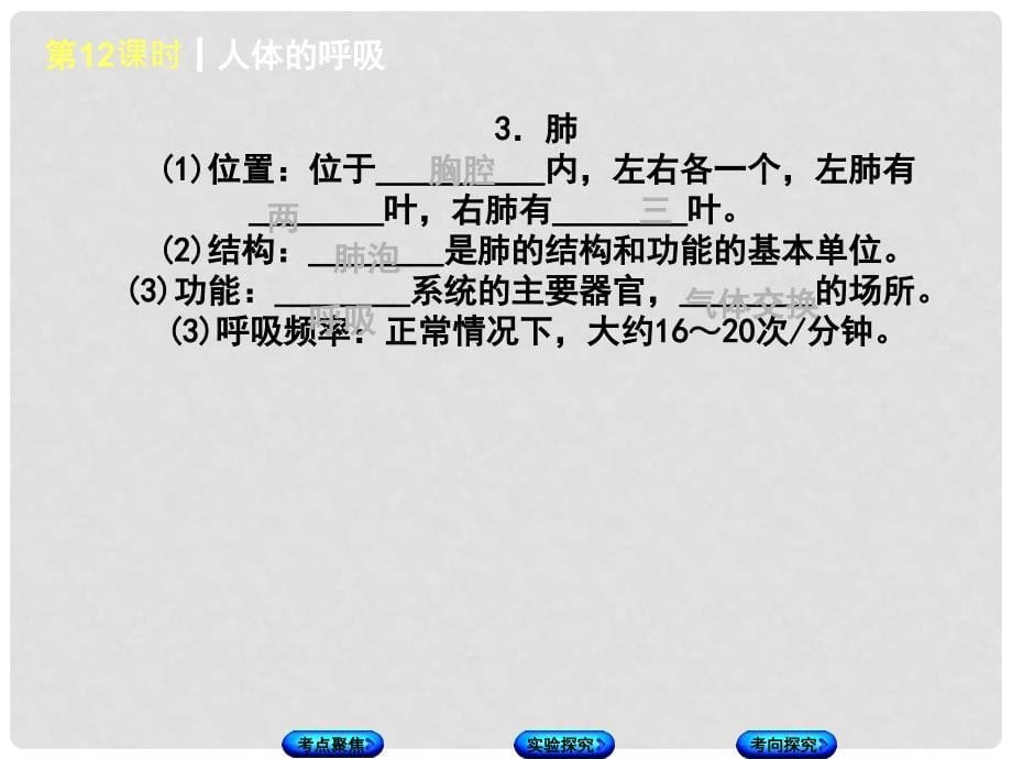 中考生物复习方案 主题五 生物圈中的人 第12课时 人体的呼吸课件_第5页