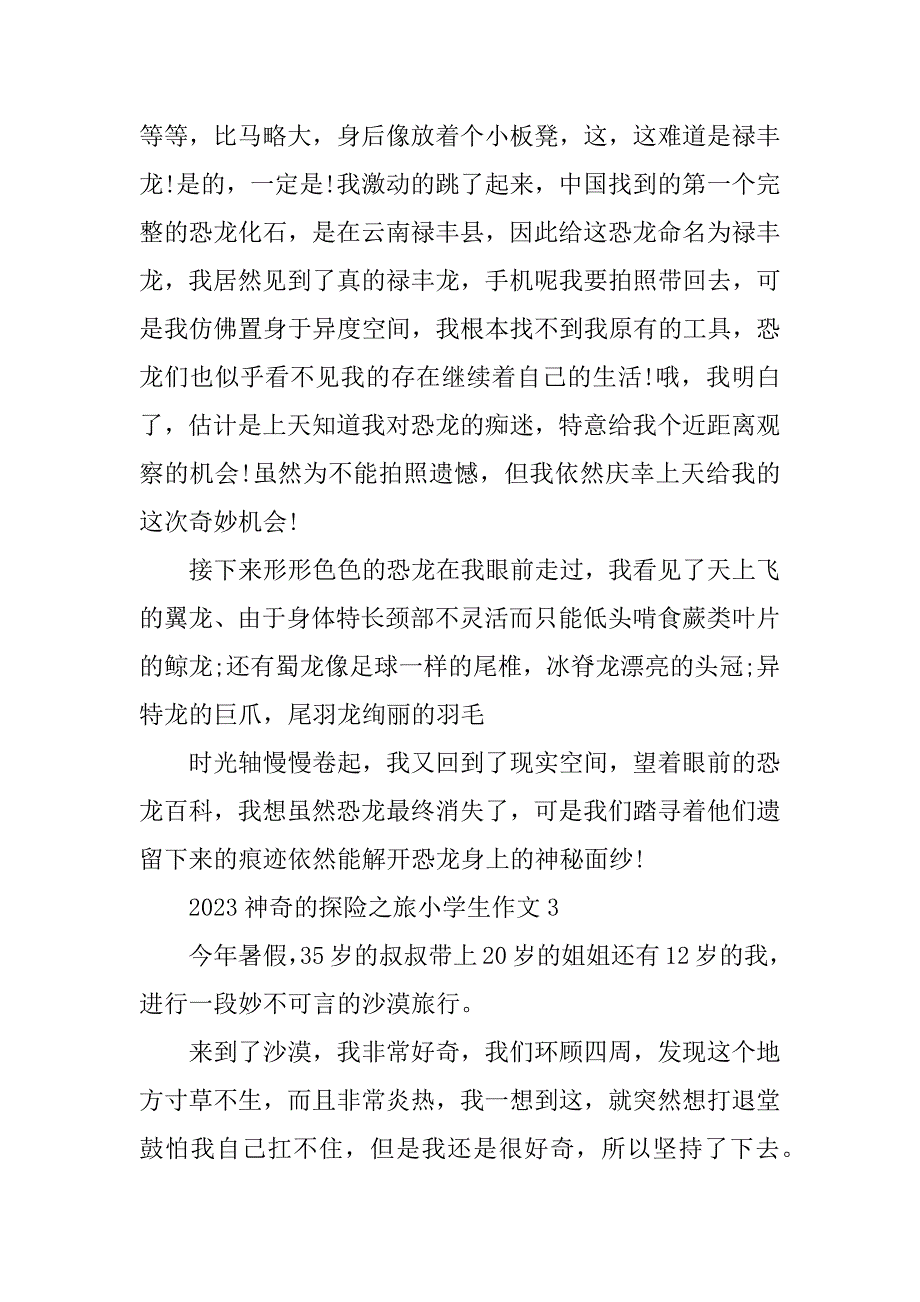 2023年神奇的探险之旅小学生作文10篇_第3页