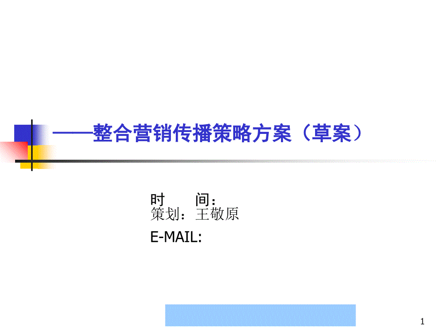 384609神州数码管理系统有限公司整合营销传播策略方案bluefox2001_第1页