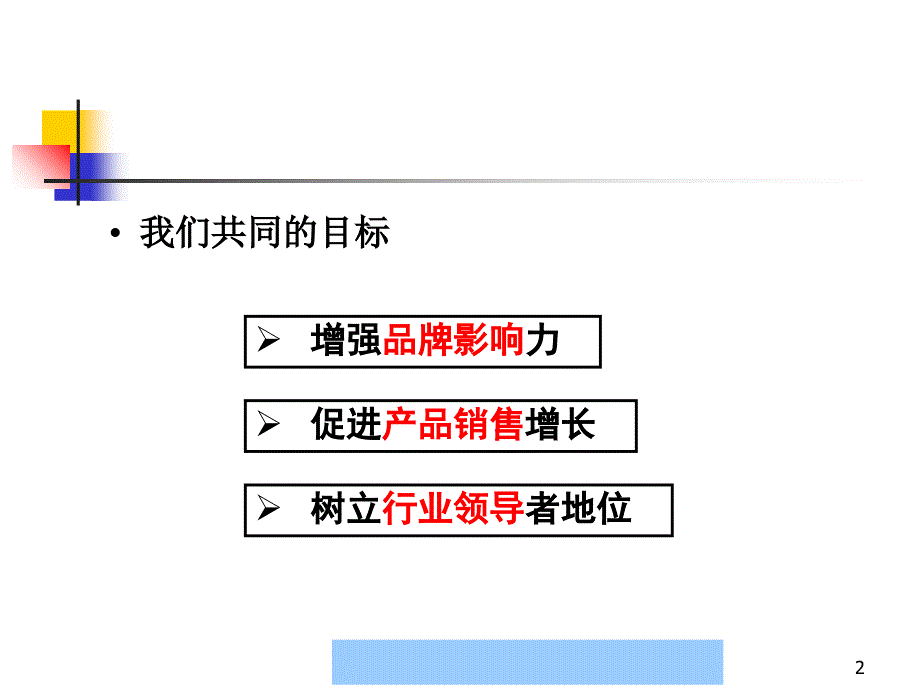 384609神州数码管理系统有限公司整合营销传播策略方案bluefox2001_第2页