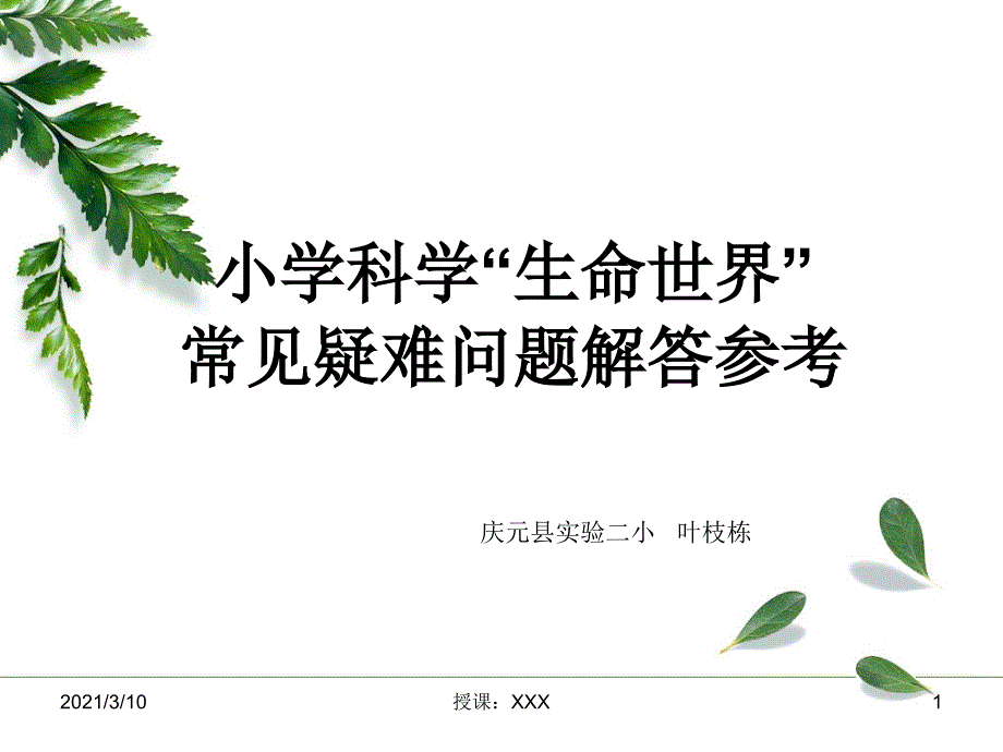 生命世界叶枝栋PPT参考课件_第1页