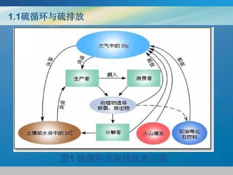 大气污染控制工程第八章第二节硫循环和硫排放ppt课件_第5页